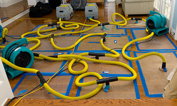 Professional Sewage Cleanup technician working in Brenham, TX
